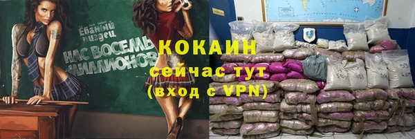 ECSTASY Богородск