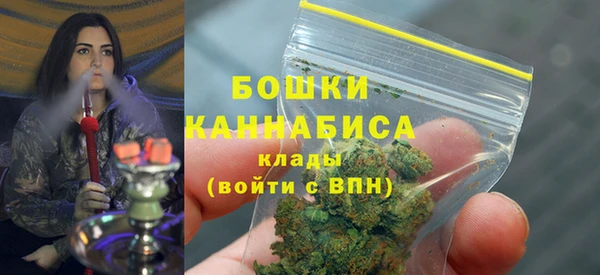 ECSTASY Богородск