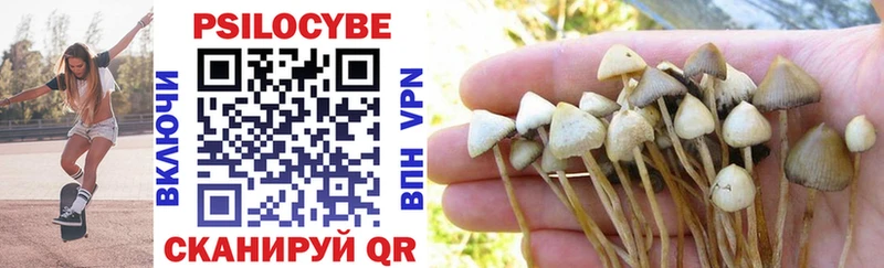 Галлюциногенные грибы Psilocybine cubensis  где купить наркотик  Белгород 